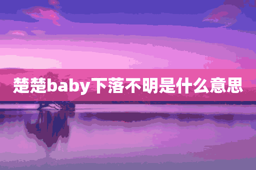 楚楚baby下落不明是什么意思